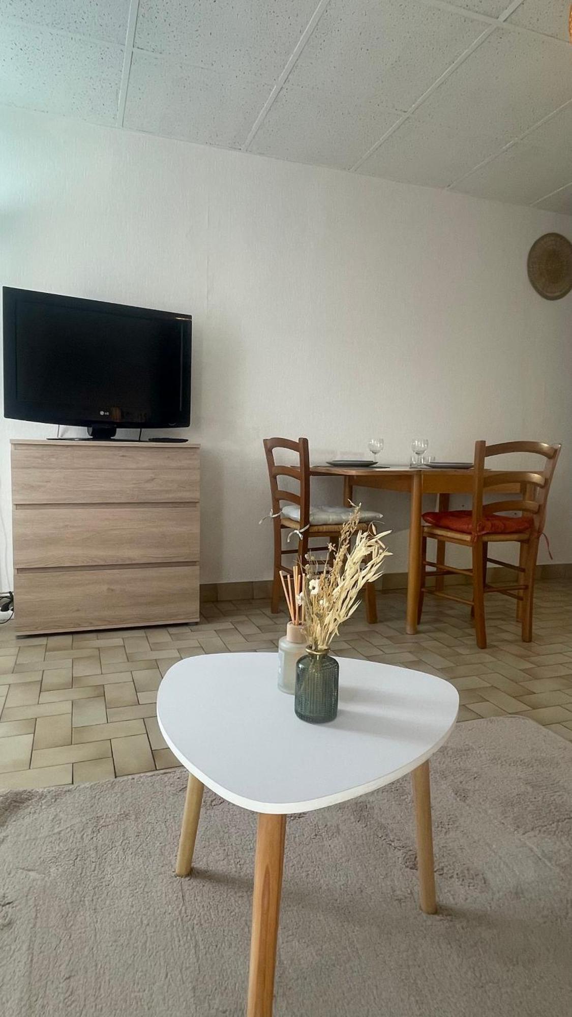 Apartment Spacieux « boheme » *