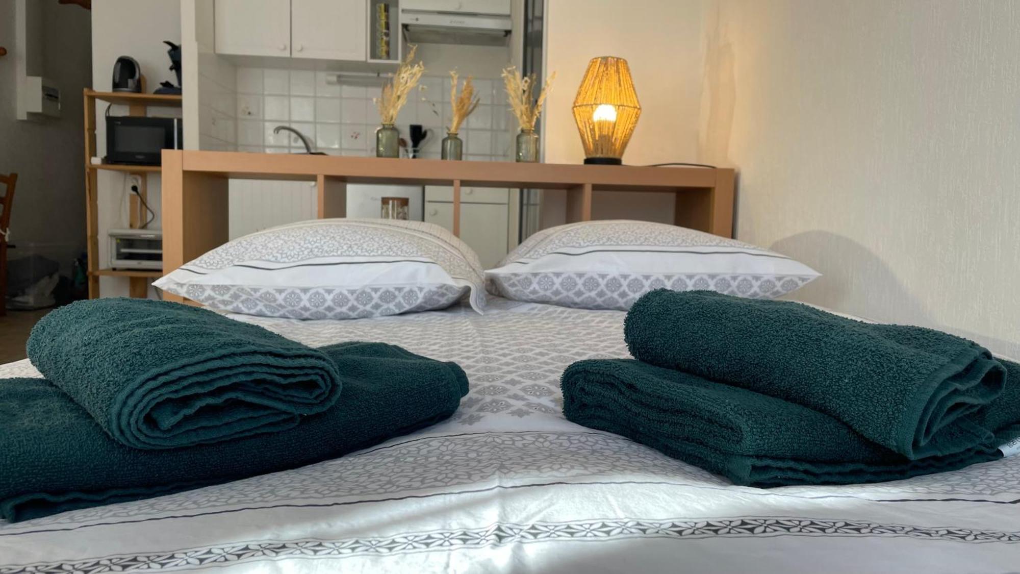 Spacieux « boheme » Apartment Digne-les-Bains